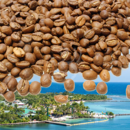 HONDURAS FINCA SPECIAL • honduraská káva