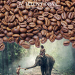 KÁVA INDIE MALABAR • MONZUNOVÁ KÁVA