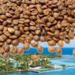 HONDURAS FINCA SPECIAL • honduraská káva